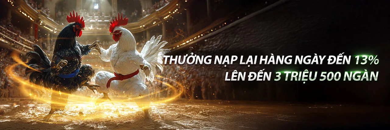 Chính sách Cookie của DK88 Casino